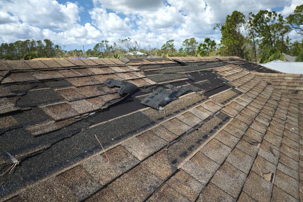 Roof Damage Repair - Roof Damage Repair Venice, Florida