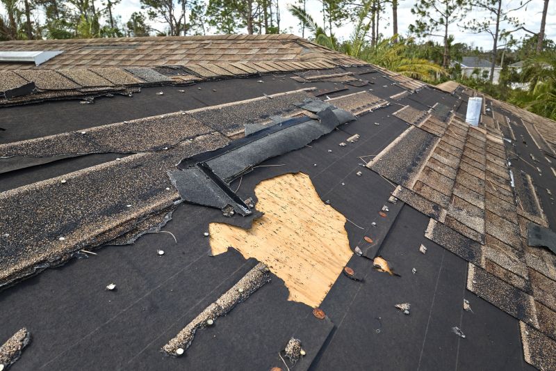 Damaged Roof Shingles